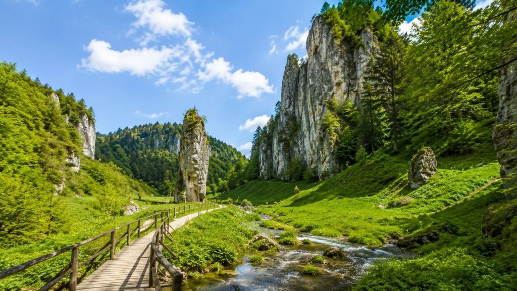 Wędrówki górskie dla początkujących – jak przygotować się do trekkingu